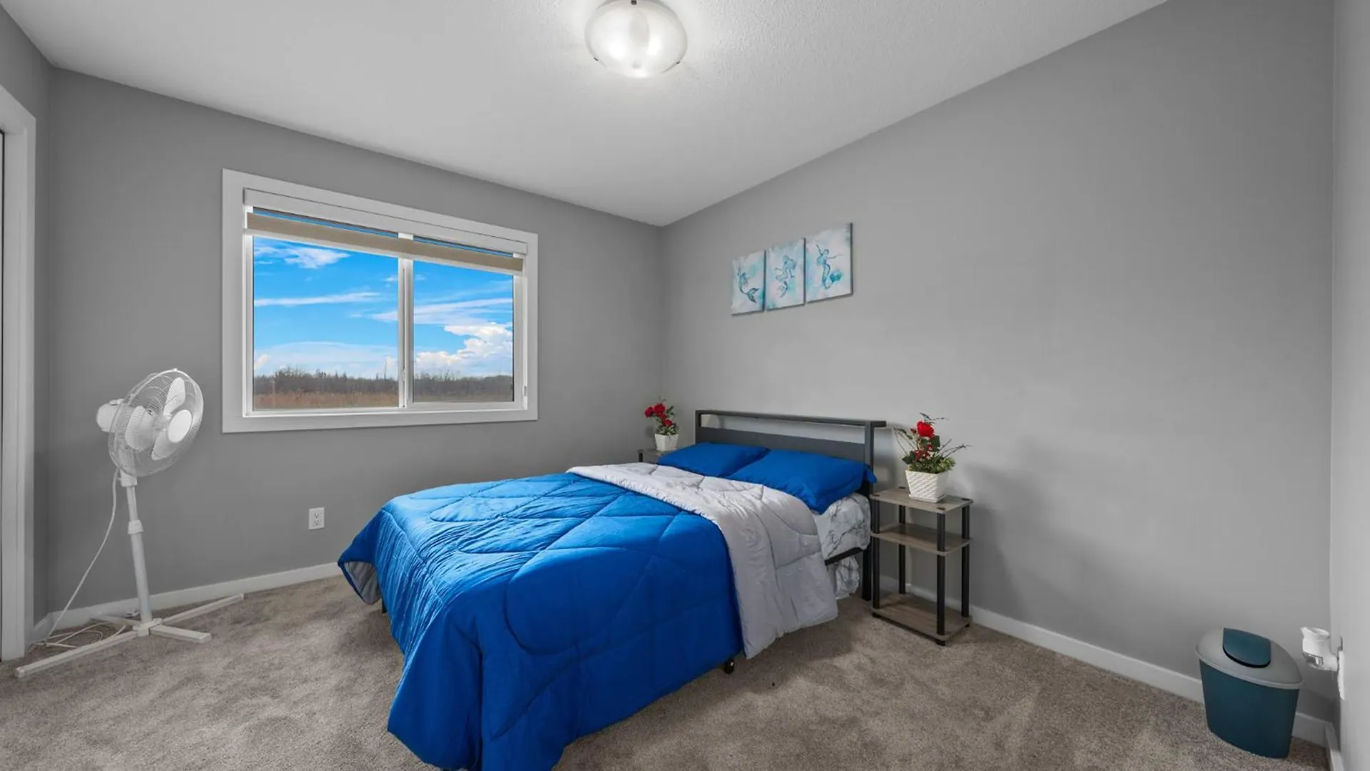 Cozy Homes Edmonton